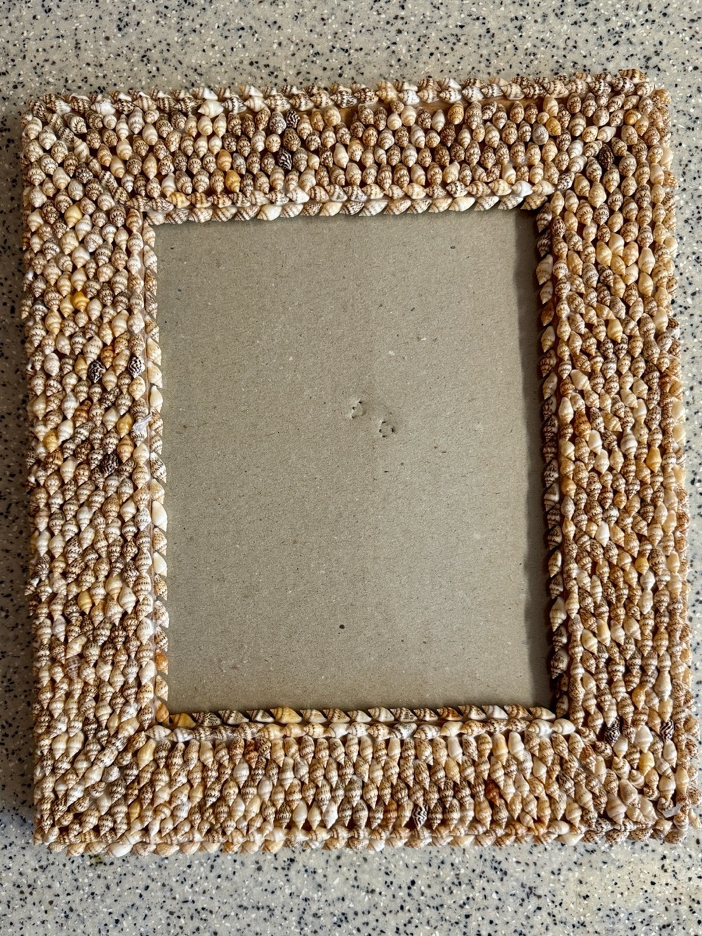 Handmade Large Seashell Beaded Picture Frame - Natural Tan.